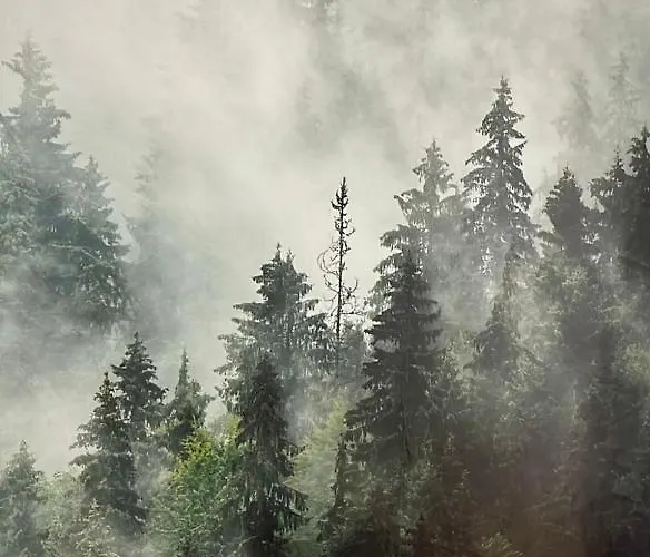 Moderne Neubauwohnung Bei Koeln Lindlar